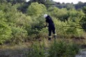 Waldbrand Koeln Hoehenhaus Hoehenfelder Mauspfad P095